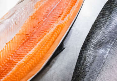 Losos│salmon