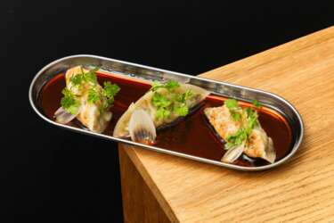 Gyoza kuracia / Chicken gyoza