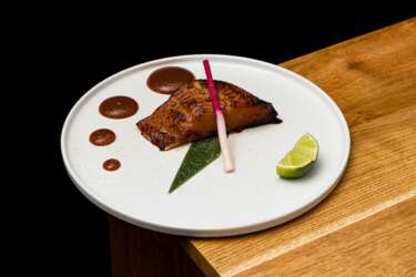 Black Cod